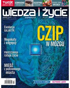 H2303000-000