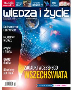 H2310000-000