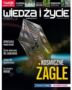 Wiedza i Życie 11/2024